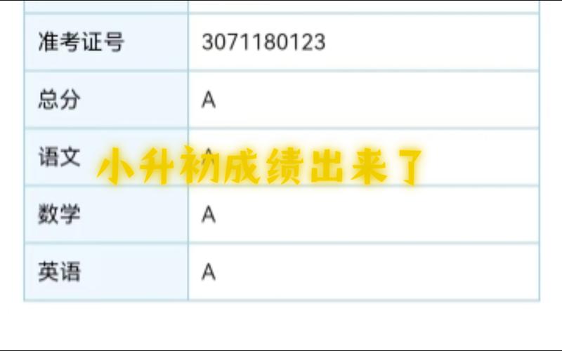 学校弄一个平台可以查成绩，但是交钱才能查，合理吗小升初 查成绩孩子小升初，成绩优异，最好的初中要花钱上，大家觉得有必要吗