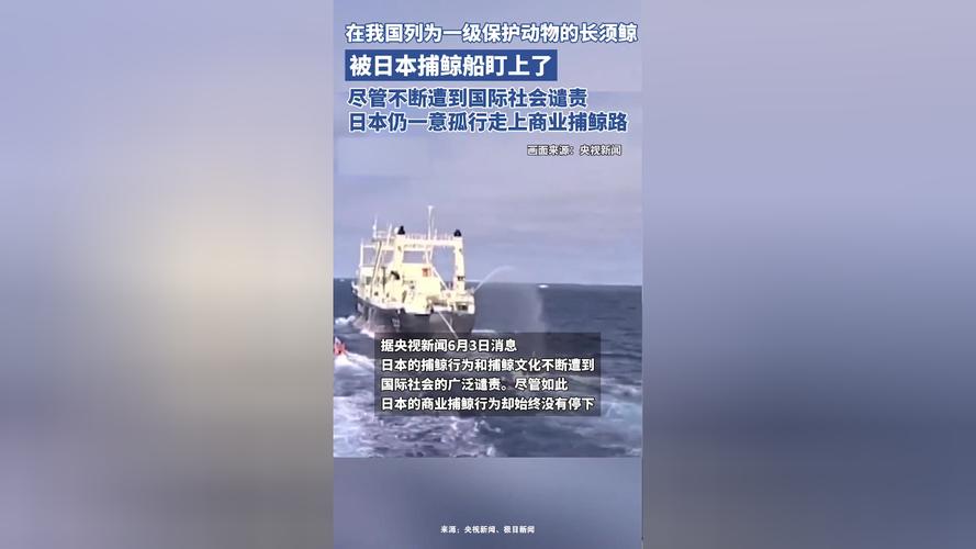 如何看待日本宣布退出国际捕鲸协会？日本为何非要商业捕鲸反捕鲸纪录片俄罗斯与美国竟然在北极有领土纠纷，这是怎么造成的?有战争危险吗 面膜