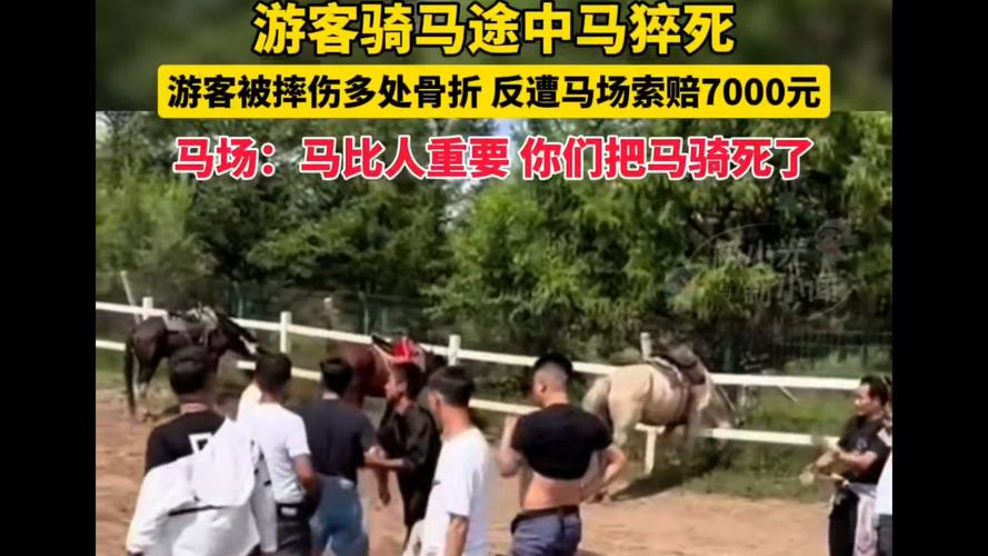 马为什么被人骑着累死游客骑马摔死案例骑马时马猝死游客赔 口红