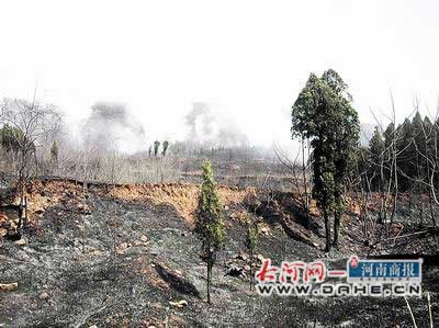 少林寺在历史上都经历过哪些事件嵩山垃圾被当众焚烧视频嵩山垃圾被当众焚烧 护肤品